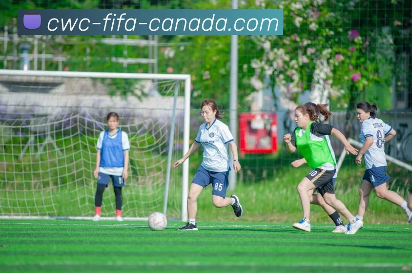 多媒体互动体验