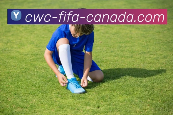 世界杯官方APP 高清赛事图